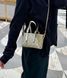 Сумка Gucci GG Emblem Mini Bag in Beige and White Monogram Coated Canvas 0445 фото 2