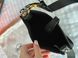 Сумка Hermes Evelyne TPM in Black Leather/Palladium Hardware 150 фото 5