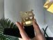 Ремінь Burberry Leather TB Belt Black/Gold 66176 фото 5
