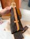 Cумка Louis Vuitton CarryAll PM Bag in Monogram Coated Canvas 126 фото 5