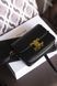 Сумка Celine Classique Triomphe Teen Crossbody Bag in Black Calfskin/Gold Hardware 0323 фото 3
