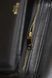 Сумка Celine Classique Triomphe Teen Crossbody Bag in Black Calfskin/Gold Hardware 0323 фото 10