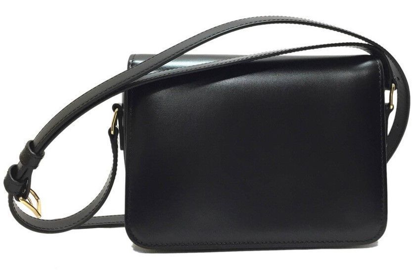 Сумка Celine Classique Triomphe Teen Crossbody Bag in Black Calfskin/Gold Hardware 0323 фото