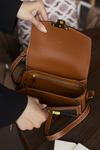 Сумка Celine Classique Triomphe Teen Crossbody Bag in Triomphe Canvas and Calfskin 0262 фото