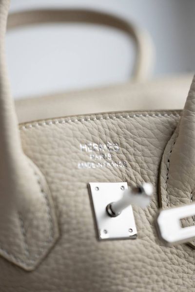Сумка Hermes Birkin 25 in Craie Togo Leather/Palladium Hardware 0387 фото