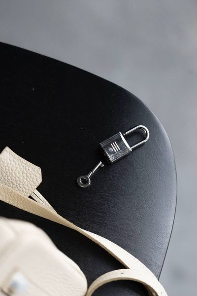 Сумка Hermes Birkin 25 in Craie Togo Leather/Palladium Hardware 0387 фото