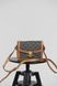 Сумка Celine Classique Triomphe Teen Crossbody Bag in Triomphe Canvas and Calfskin 0262 фото 7