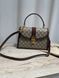 Сумка Gucci Ophidia Medium Top Handle Bag Brown and Ebony GG Supreme Canvas/Brown Leather Trim 0402 фото 8