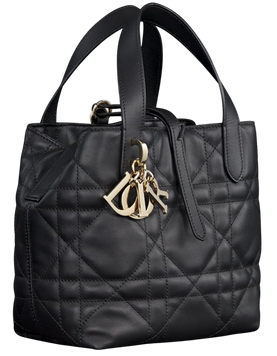 Сумка Dior Toujours Vertical Nano Tote Bag Black 01043 фото