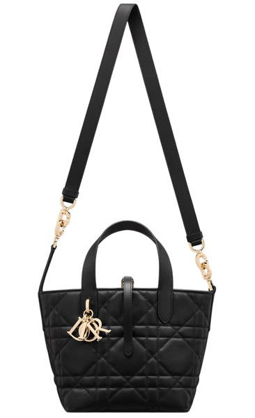 Сумка Dior Toujours Vertical Nano Tote Bag Black 01043 фото