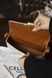 Сумка Celine Triomphe Shoulder Bag in Canvas White 0316 фото 8