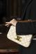 Сумка Celine Triomphe Shoulder Bag in Canvas White 0316 фото 5