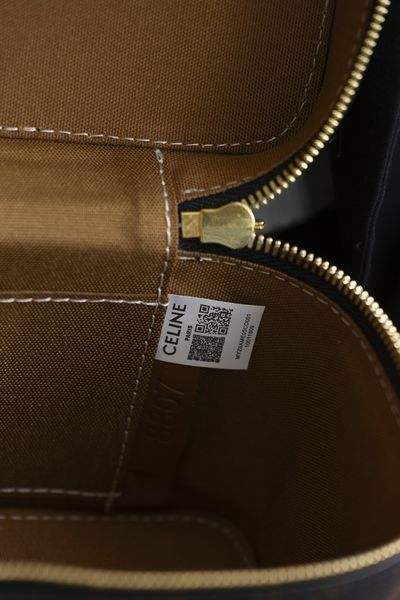 Сумка Celine Vanity Bag in Triomphe Canvas and Calfskin 0509 фото