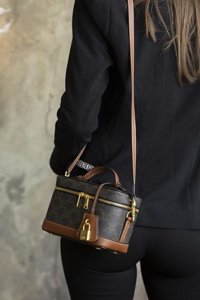 Сумка Celine Vanity Bag in Triomphe Canvas and Calfskin 0509 фото