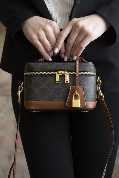 Сумка Celine Vanity Bag in Triomphe Canvas and Calfskin 0509 фото