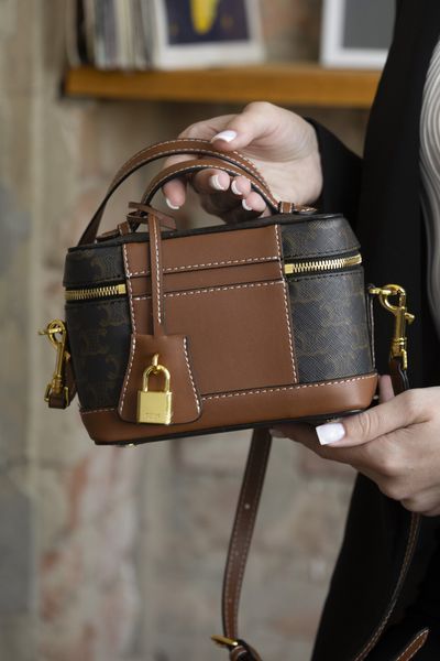 Сумка Celine Vanity Bag in Triomphe Canvas and Calfskin 0509 фото