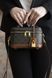Сумка Celine Vanity Bag in Triomphe Canvas and Calfskin 0509 фото 2
