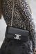 Сумка Celine Claude Chain Shoulder Bag in Shiny Black Calfskin/Silver Hardware 0361 фото 8