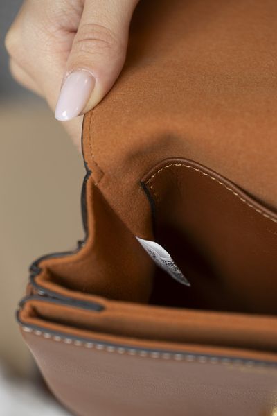 Сумка Celine Tabou Crossbody Bag Brown 0347 фото