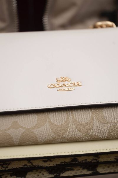 Сумка Coach Mini Klare Crossbody Bag in Blocked Signature Canvas Light Khaki/Chalk/Snake 0301 фото