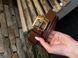 Ремінь Miu Miu Nappa Leather Belt Brown/Gold 66156 фото 5