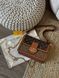 Сумка Louis Vuitton Dauphine MM in Brown Monogram Reverse Coated Canvas 0218 фото 3