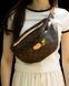 Бананка Louis Vuitton Bum Bag in Brown Monogram Coated Canvas 005 фото 5