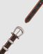 Ремінь Celine Western Belt in Triomphe Canvas and Calfskin/Silver 66155 фото 8