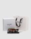 Ремінь Celine Western Belt in Triomphe Canvas and Calfskin/Silver 66155 фото 10