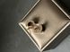 Сережки Bvlgari B.zero1 Earrings in 18K Rose Gold/Black Ceramic JW0303 фото 1
