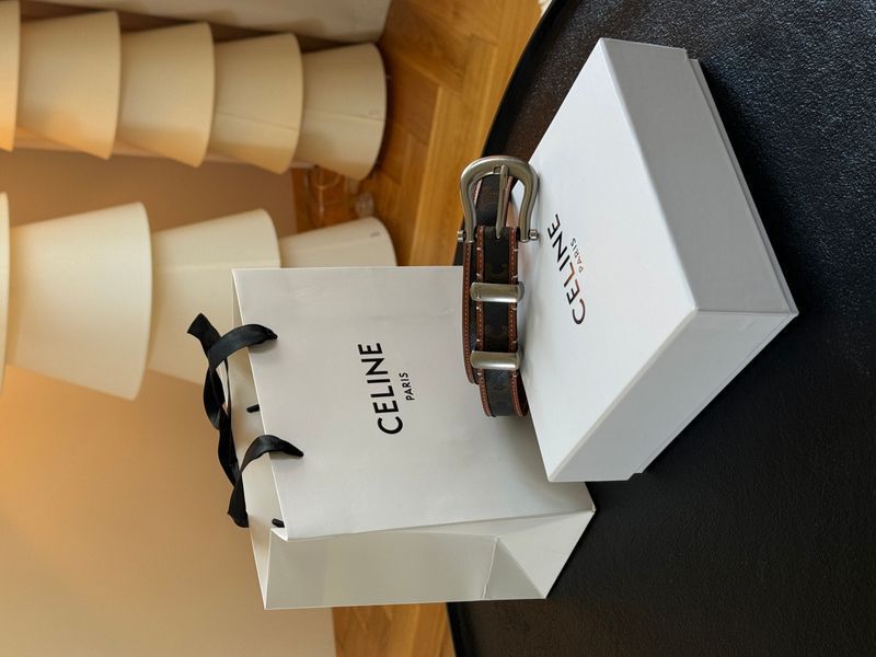 Ремінь Celine Western Belt in Triomphe Canvas and Calfskin/Silver 66155 фото