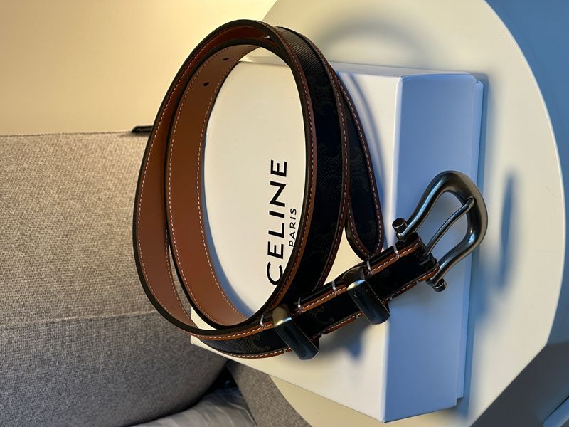Ремінь Celine Western Belt in Triomphe Canvas and Calfskin/Silver 66155 фото