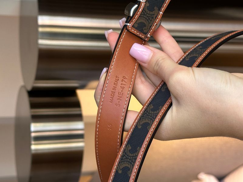 Ремінь Celine Western Belt in Triomphe Canvas and Calfskin/Silver 66155 фото