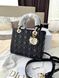 Сумка Christian Dior Medium Lady Dior Bag in Black Cannage Lambskin with Gold Hardware Premium 6073 фото 3