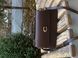 Сумка Coach Juno Crossbody Bag in Leather Maple Brown 12293 фото 3