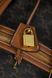 Дорожня сумка Celine Triomphe Voyage/Travel Bag 0365 фото 8