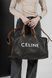 Дорожня сумка Celine Triomphe Voyage/Travel Bag 0365 фото 6