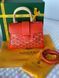Сумка Goyard Sa&iuml;gon Souple Mini Bag Goyardine Canvas & Chevroches Calfskin Orange 0397 фото 7