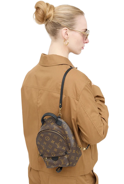Рюкзак Louis Vuitton Palm Springs Mini Backpack in Monogram Coated Canvas 0103 фото