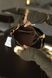 Cумка Coach Teri Crossbody Bag in Signature Canvas Gold/Walnut/Black 0416 фото 8