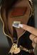 Cумка Coach Teri Crossbody Bag in Signature Canvas Gold/Walnut/Black 0416 фото 9