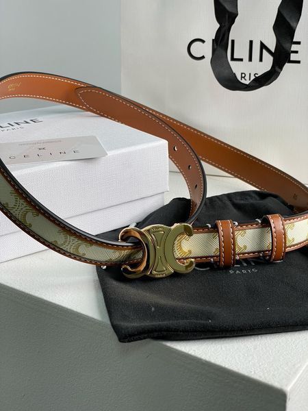 Ремень Celine Medium Triomphe Belt In Triomphe Canvas And Calfskin White/Gold 66122 фото