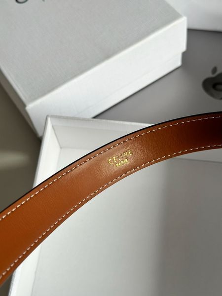 Ремень Celine Medium Triomphe Belt In Triomphe Canvas And Calfskin White/Gold 66122 фото