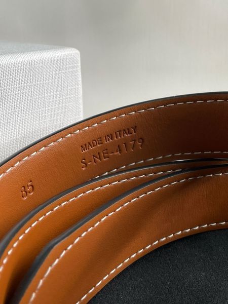 Ремень Celine Medium Triomphe Belt In Triomphe Canvas And Calfskin White/Gold 66122 фото