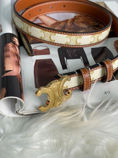 Ремень Celine Medium Triomphe Belt In Triomphe Canvas And Calfskin White/Gold 66122 фото