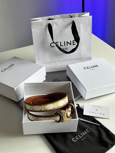 Ремень Celine Medium Triomphe Belt In Triomphe Canvas And Calfskin White/Gold 66122 фото