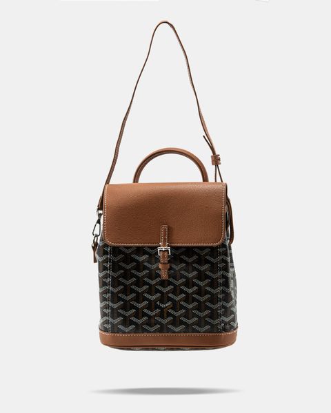 Рюкзак Goyard Alpin Mini Backpack in Leather Black&Tan 0368 фото