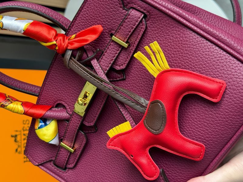 Сумка Hermes Birkin 25 in Rouge H Togo Leather/Gold Hardware 0387 фото