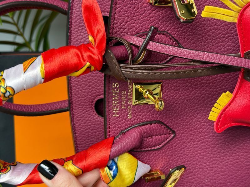 Сумка Hermes Birkin 25 in Rouge H Togo Leather/Gold Hardware 0387 фото