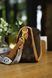 Сумка Louis Vuitton Diane Satchel Bag in Brown Monogram Coated Canvas 0359 фото 8